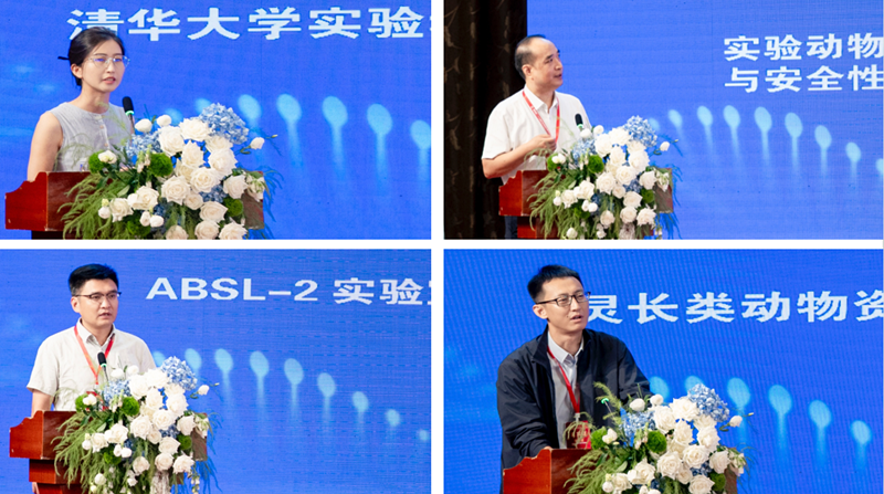 图片8_副本.png